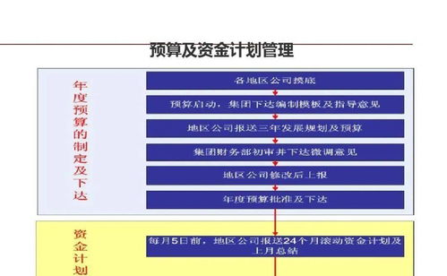 龍湖企業(yè)管理與運營的精細(xì)化管理策略